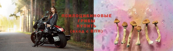 spice Горняк